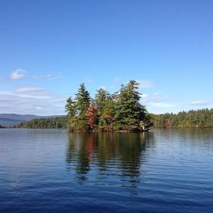 Meet your Posher, Lynne driscoll